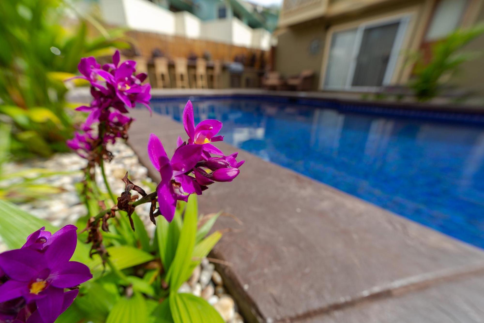 Bamboo Suite, 1 Bedroom, Sleeps 4, Pool & Bbq, Pre-Renovation Summer Sale คิเฮอิ ภายนอก รูปภาพ